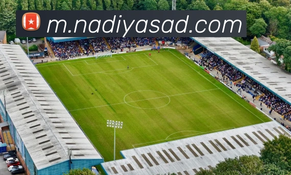 互动解说服务